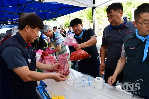 남자자원봉사자들이 김치 포장을 하고 있다 [ 사진=김준 기자 ]
