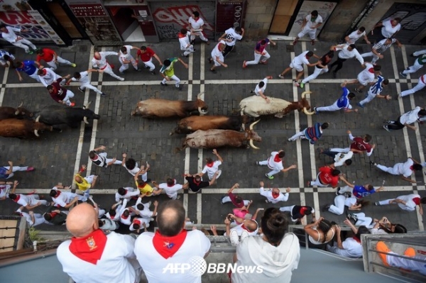 스페인 북부 나바라주 팜프로나에서 열린 '산페르민 축제' 명물의 암소 추격으로 소 곁을 달리는 참가자ⓒAFPBBNews