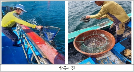 방류사진