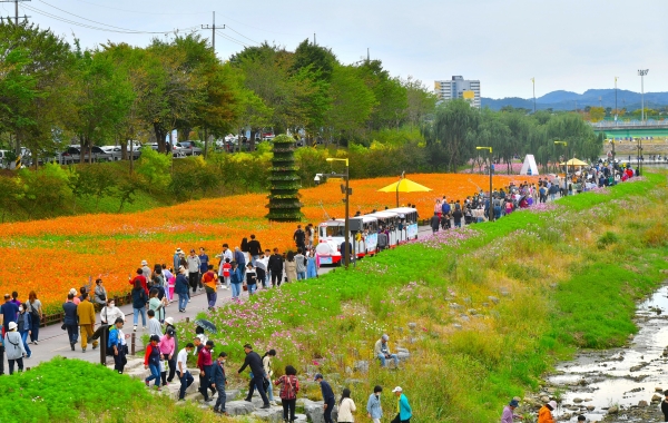 2022년 장성황룡강 가을꽃 축제모습 / 장성군 제공